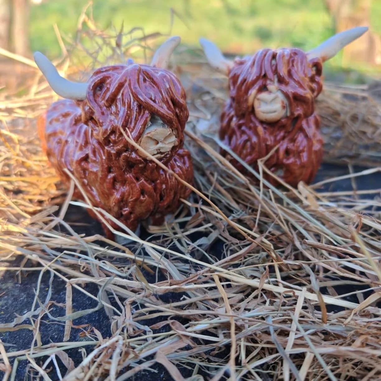 Deux figurines en céramique de vaches des Highlands marron posées dans de la paille